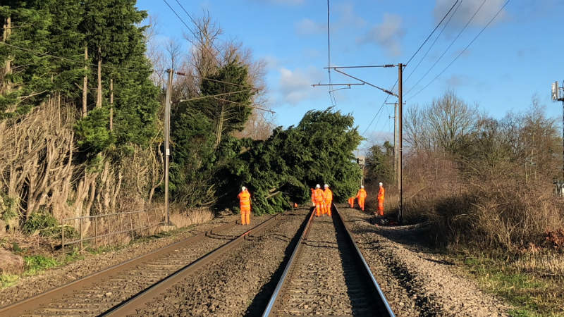 Railway Vegetation Management