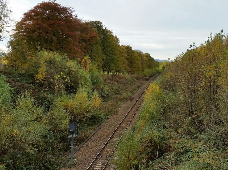 The mission for biodiversity on the UK’s rail network