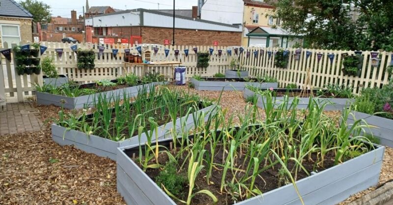 Stations in bloom: boosting biodiversity - Vimarsana News