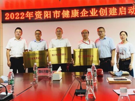 CRRC Ziyang Officially Awarded as Provincial-Level ‘Healthy Enterprise’