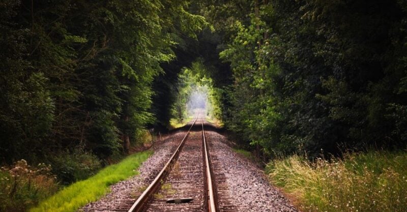 How environmentally friendly is the HS2 project? - Vimarsana News